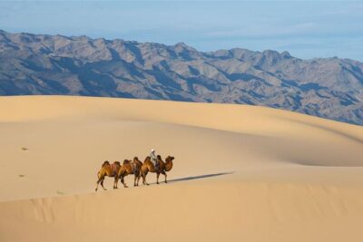 1 Day Semi-Gobi Tour Including Lunch And Free Camel +Bonus Khustai National Park