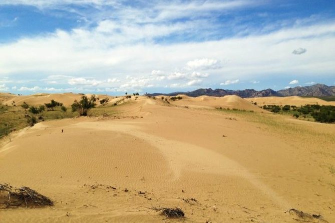 1 Day Semi-Gobi Tour Including Lunch And Free Camel +Bonus Khustai National Park - Meeting a Mongolian nomad family