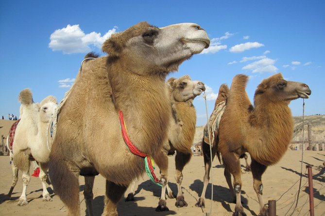 2 day Central Mongolia - Who will get the most from this experience?