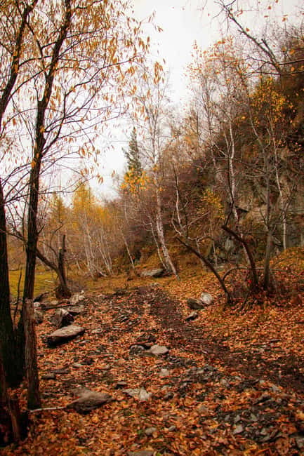 2 Day Horse trekking in Terelj national park - Key points at a glance