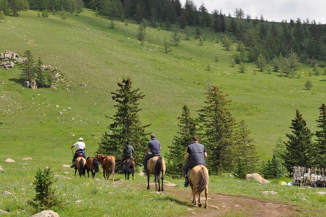 2 Days Tour: Terelj National Park And Chinggis Statue - From Ulaanbaatar to the Chinggis Khaan statue