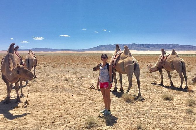 2D,1N Gobi desert and Old city Kharkhorum stay with Nomadic family - Why this short tour works as a Mongolia sampler