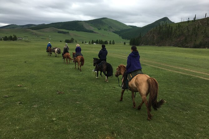 3 DAYS Terelj national park and Central Mongolia - Guides, drivers, and the small-group advantage