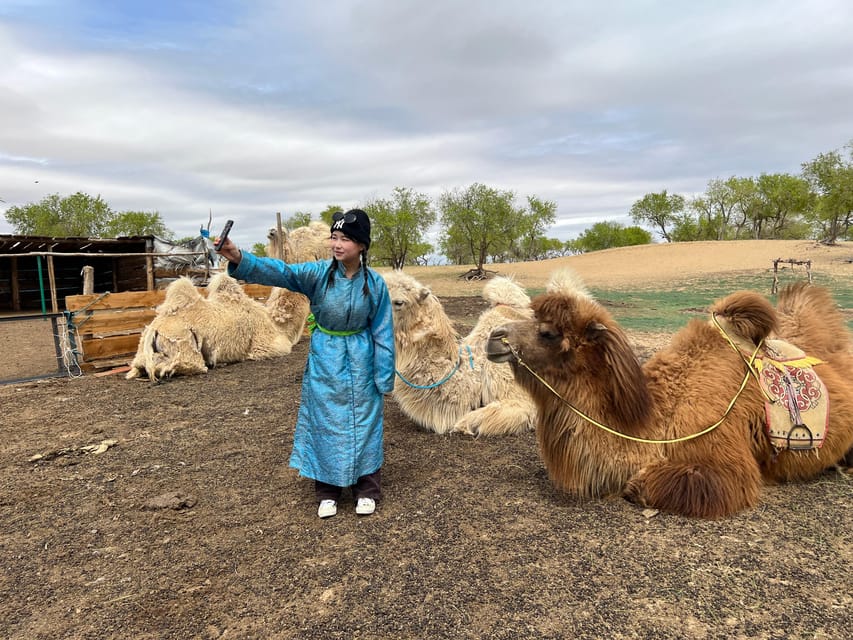4 Day Best of Central Mongolia tour, Chinggis Khan statue - Why this four-day route works