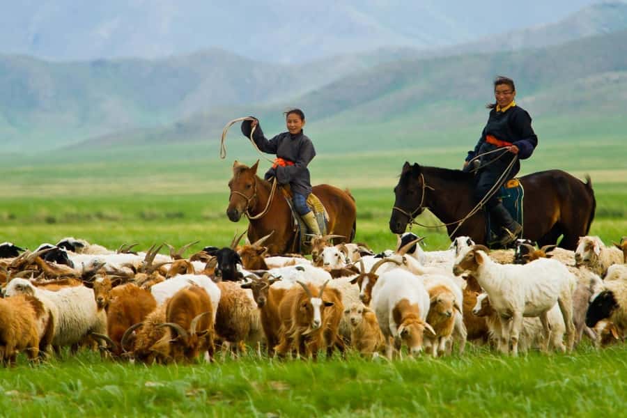 4 Day Central Mongolia - The 4WD road experience
