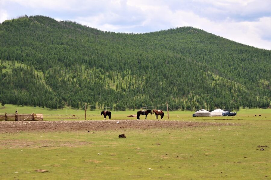 5 day Central Mongolia and Nomad stay tour - Who should book this five-day route