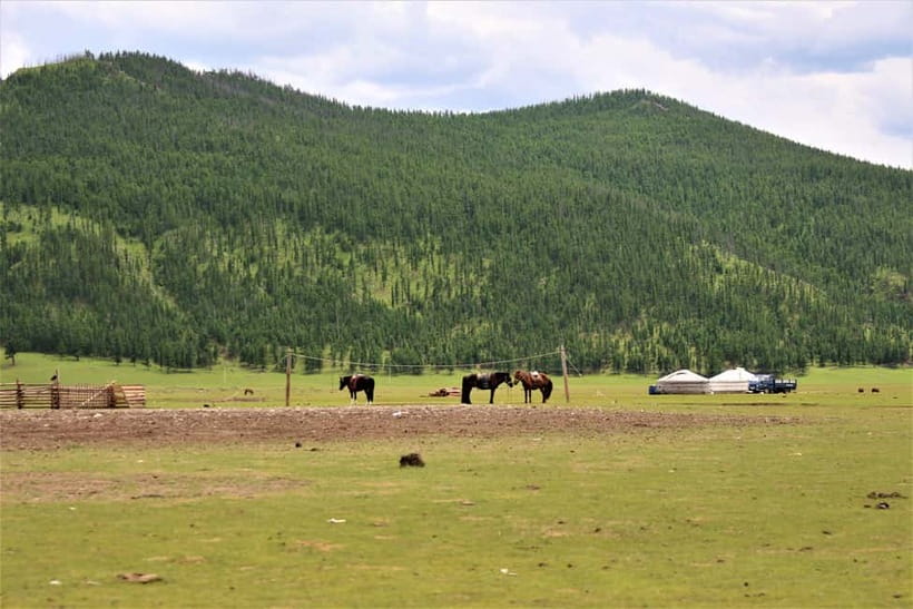 5 day Central Mongolia and Nomad stay tour - Day 5: The 370-kilometer return to Ulaanbaatar