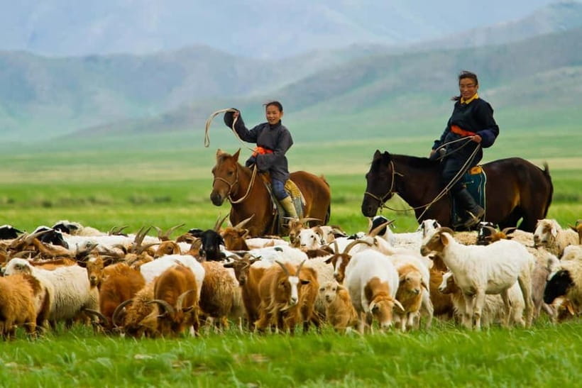 5 day Central Mongolia and Nomad stay tour - What the $1,092 price includes