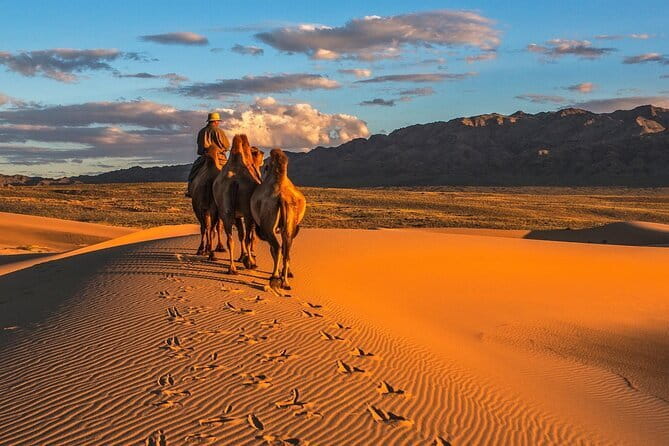 6 Days Color of Gobi Desert - Day 5: The red cliffs of Bayanzag
