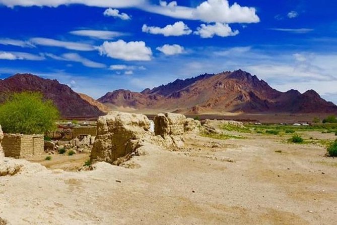 7 days Great Gobi Tour - Key points at a glance