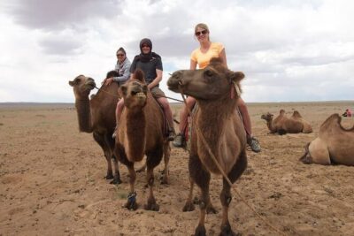 8 Day Great Gobi and Central Mongolia