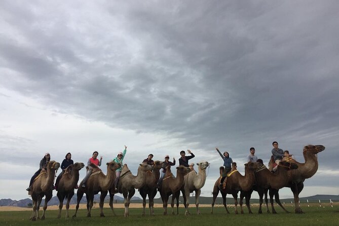 8 Day Great Gobi and Central Mongolia - Day 4: Bayanzag, Ongi Monastery, and a shorter transfer day