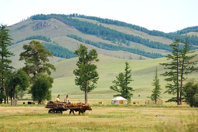 A day trip to Terelj National Park and Statue of Chinggis Khan - From Ulaanbaatar traffic to open Mongolian country