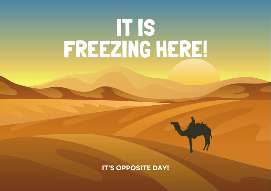 Best 6-Day Gobi Tour Discover Mongolia - Day 3: Two hours on a camel at Khongor Sand Dune