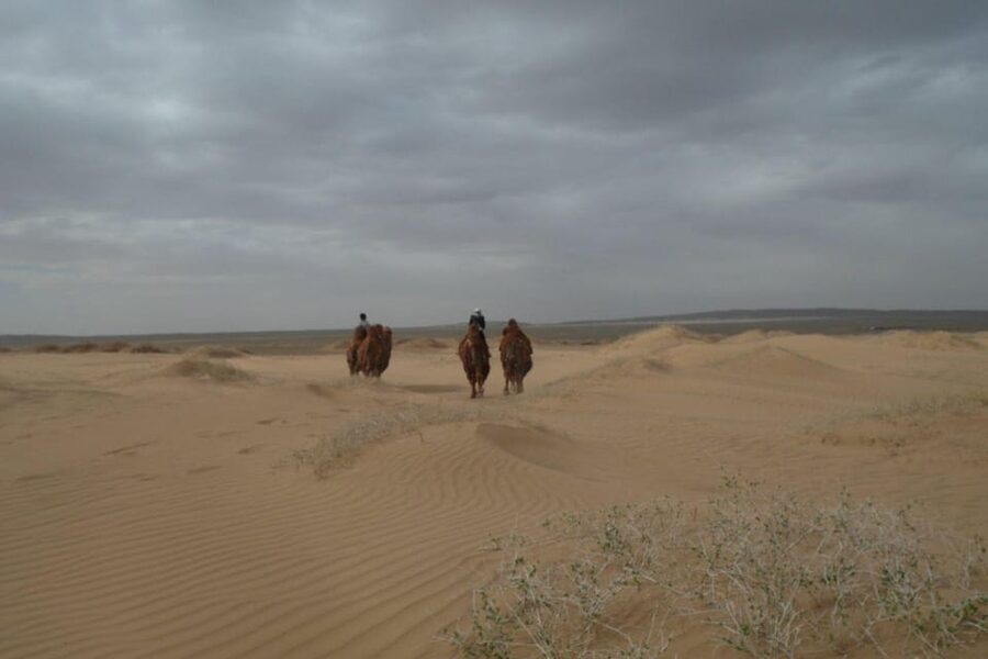 Best 6-Day Gobi Tour Discover Mongolia - Ger hostels, meals, and daily comfort