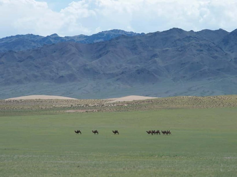 Bus tour to visit Gobi 4 day - Who will enjoy this trip most
