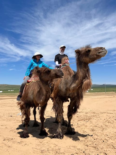 Camel Trails and Bird Tales: Discovering Elsen Tasarkhai - Key points to know before booking