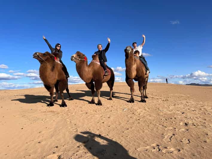Camel Trails and Bird Tales: Discovering Elsen Tasarkhai - Camel riding among the Semi Gobi dunes