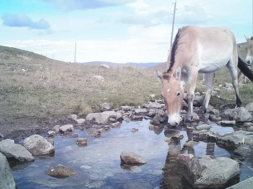 Day tour to Hustai national park - The road from Ulaanbaatar to the park