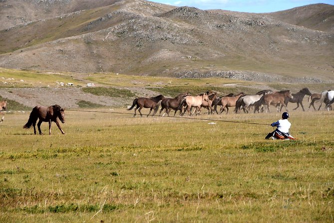Day Trip to Terelj National Park & Giant Chinggis Khaan Statue - Meeting a nomadic family