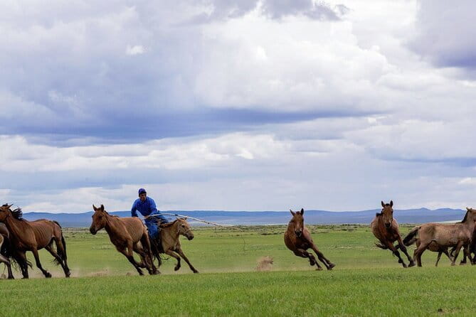 Essence of Mongolia 5 Days - Key points to know before booking