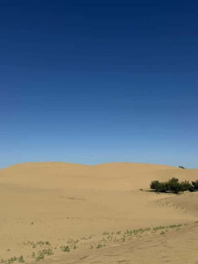 1 Day Semi-Gobi All-included tour