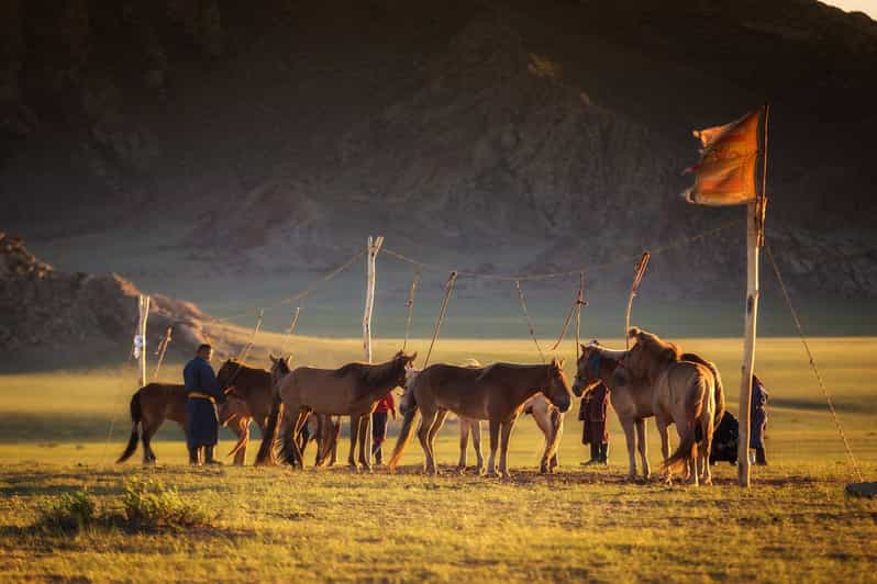 From Ulaanbaatar: Day Trip to Hustai National Park - Key points at a glance