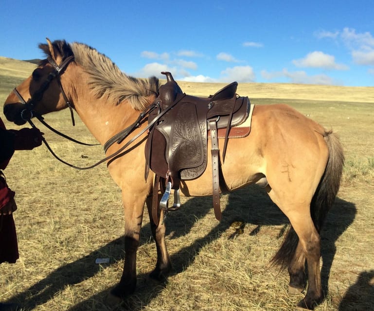 From Ulaanbaatar: Day Trip to Hustai National Park - Why Hustai is the right short escape from Ulaanbaatar
