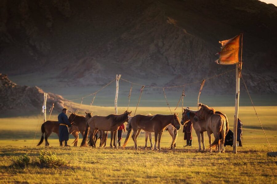 From Ulaanbaatar: Day Trip to Hustai National Park - Lunch and a look at family life