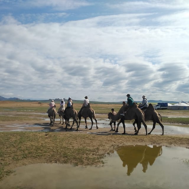 From Ulaanbaatar: Mini Gobi, Wild horse - Terelj tour - Day one: sand, spring, grass, and two-humped camels