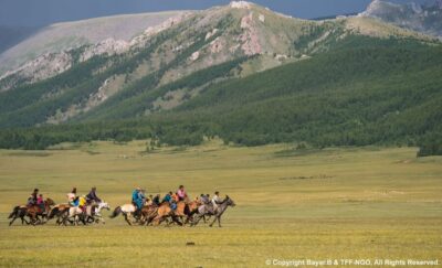 Mini Gobi, Wild horse – Terelj tour