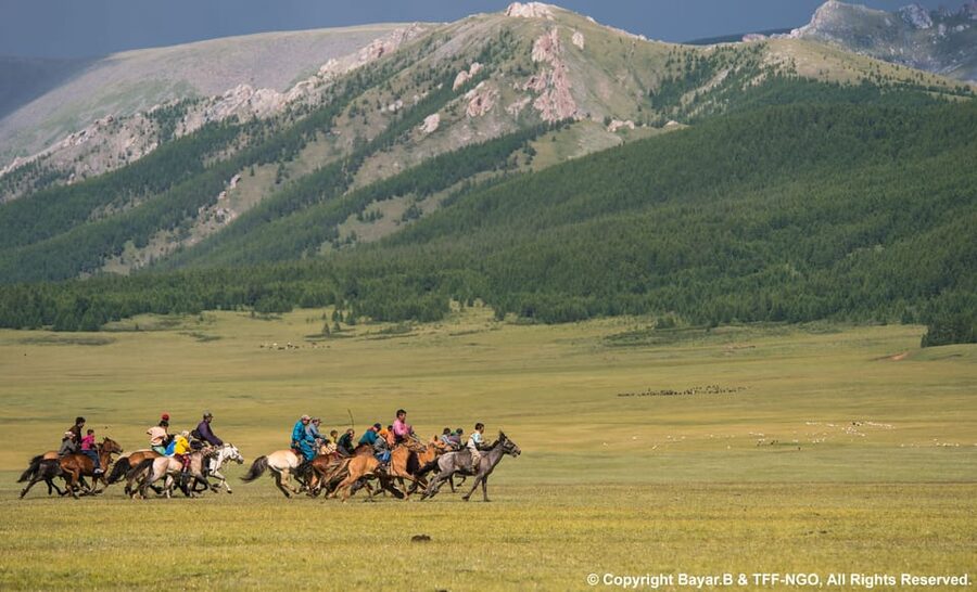 From Ulaanbaatar: Mini Gobi, Wild horse - Terelj tour - Day two: wild horses, a giant khan, and a shared ger