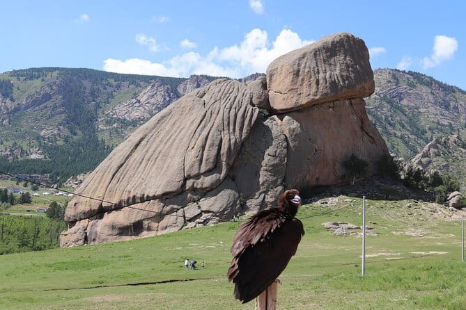 Full Day Chinggis Khaan Statue & Terelj NP Tour +Horseride, Eagle - Timing, pickup, and the pace of the day