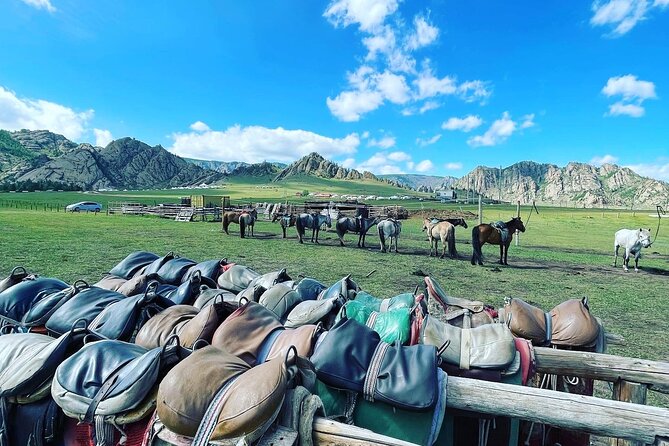 Full Day Private Tour in Terelj National Park with Horse Riding - Turtle Rock gives Terelj its signature view