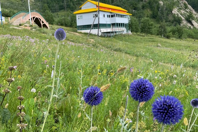 Full Day Private Tour in Terelj National Park with Horse Riding - Ariyabal Meditation Temple adds a calmer pause