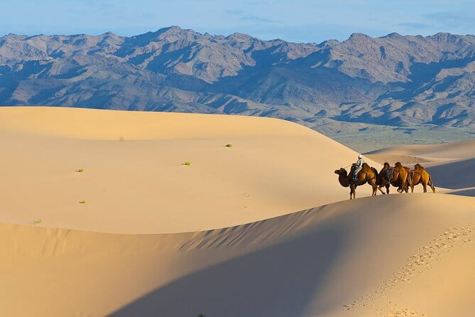 Gobi tour Mongolia 7 Days - Day 3: The colors and fossils of Tsagaan Suvarga