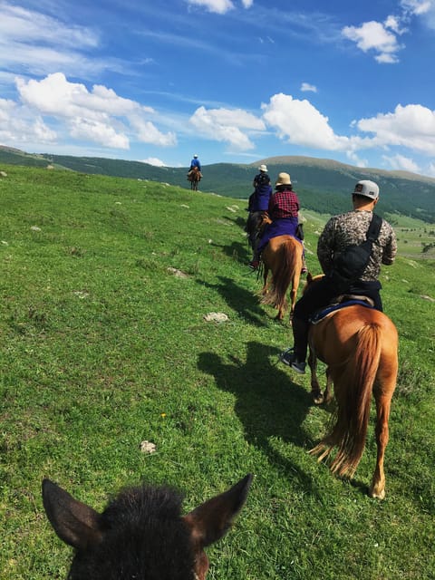 Horse riding experience in Terelj National park 1 day - Key points before you book