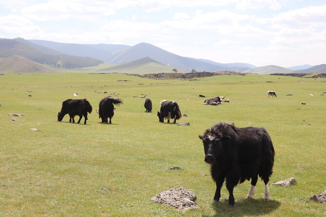 Khuvsgul Lake & Central Mongolia 8 Days Tour - Days 5 and 6: Khuvsgul Lake, Mongolia’s Blue Pearl