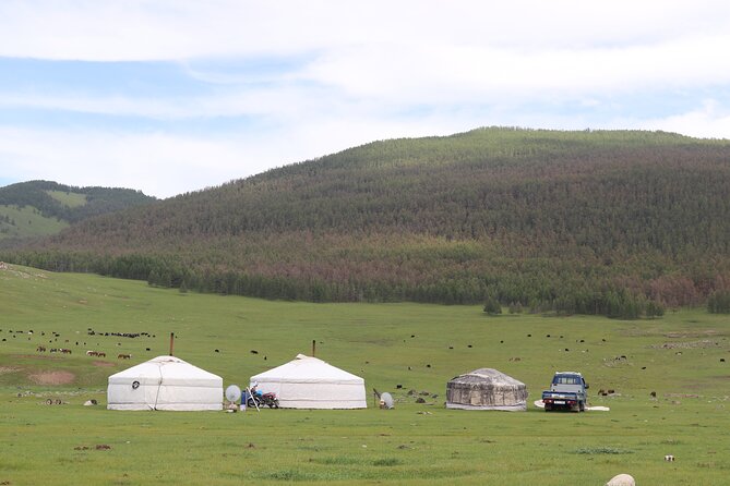 Khuvsgul Lake & Central Mongolia 8 Days Tour - Day 8: Returning to Ulaanbaatar