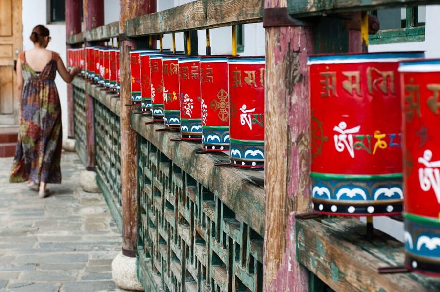 Mongolia: Genghis Khan Day Tour with Terelj National Park - A local food stop and a glimpse of nomadic life