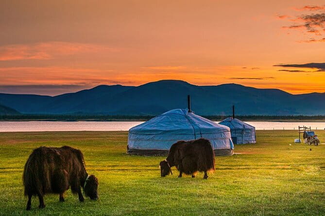 Mongolia - Sedan, Lexus, UAZ Minivan, 4WD Tour& Transport Service - Comparing the Lexus, Toyota, and UAZ