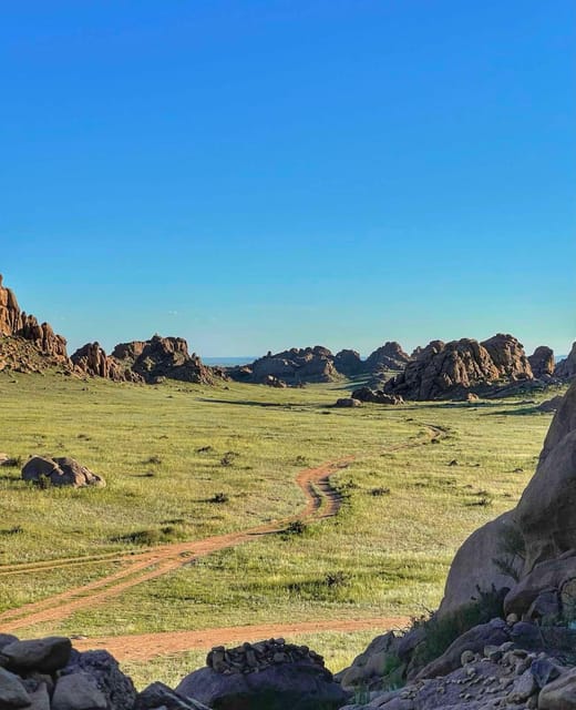 MONGOLIAN NOMADS: 2-Day Horse Trekking & Cow Milking Tour - Herding sheep and goats on horseback