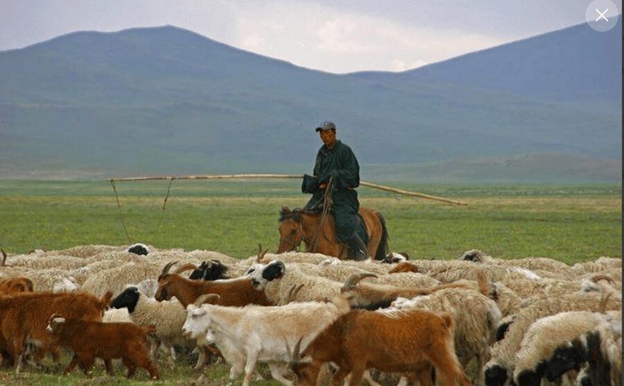 MONGOLIAN NOMADS: 2-Day Horse Trekking & Cow Milking Tour - Who will enjoy this private nomad stay?