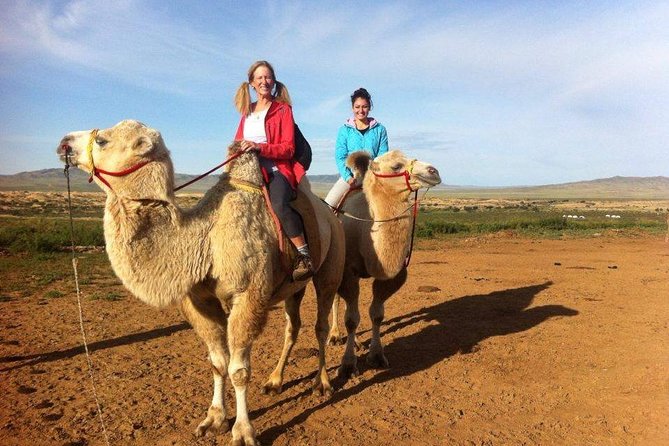 Overnight Semi-Gobi Tour with Nomadic HomeStay - Key points to know before booking