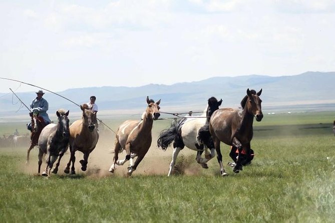 Overnight Semi-Gobi Tour with Nomadic HomeStay - Why Semi-Gobi works for a two-day Mongolia trip