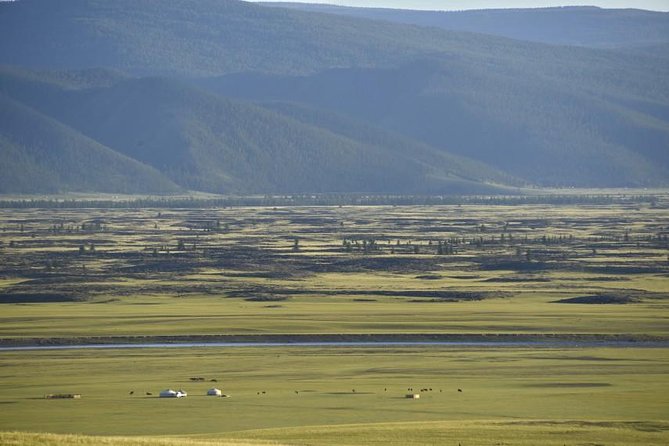 Overnight Semi-Gobi Tour with Nomadic HomeStay - Sand dunes, wildlife, and the river setting