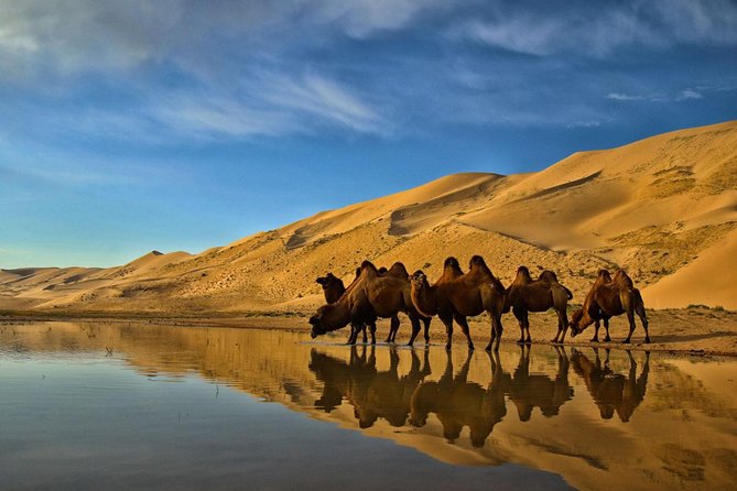 Overnight Semi-Gobi Tour with Nomadic HomeStay - What the $234.88 price covers