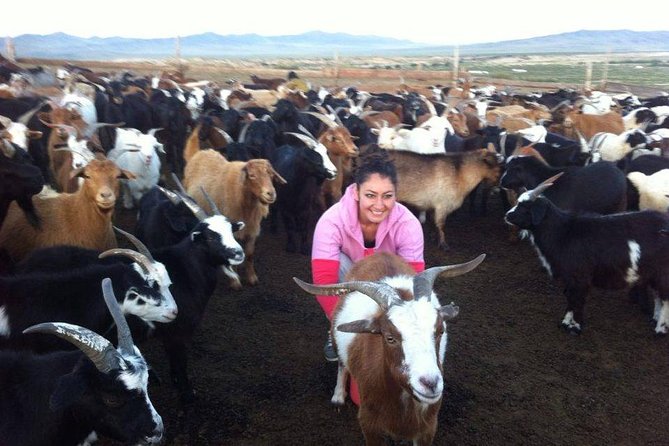 Overnight Semi-Gobi Tour with Nomadic HomeStay - The eight-hour drive from Ulaanbaatar