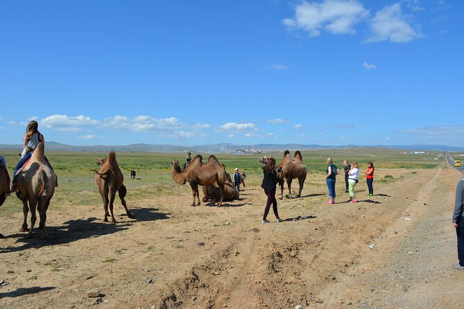 Private Day Tour: Terelj National Park + Genghis Khan's Statue .. - How the pace feels across seven to ten hours