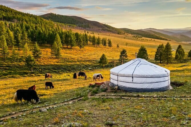 Private tour wth Olivia: Genghis Statue-Turtle Rock-Terelj-Zaisan - Should you book this private Mongolia day?